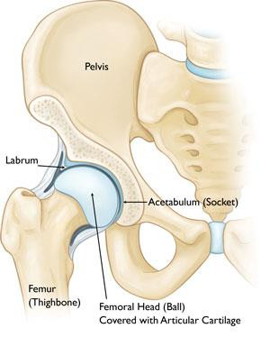 Hamstring Injury Prevention