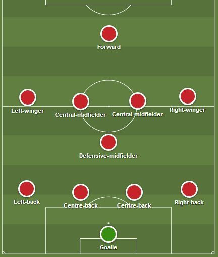 4-1-4-1 formation emphasizing a strong defensive midfielder and dynamic wingers.