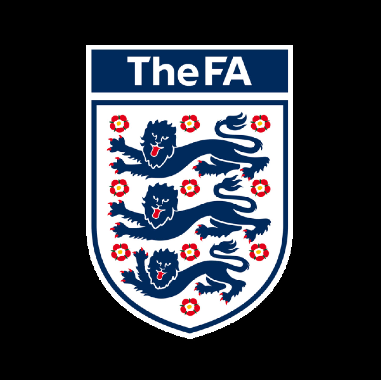 Craven Football League Logo