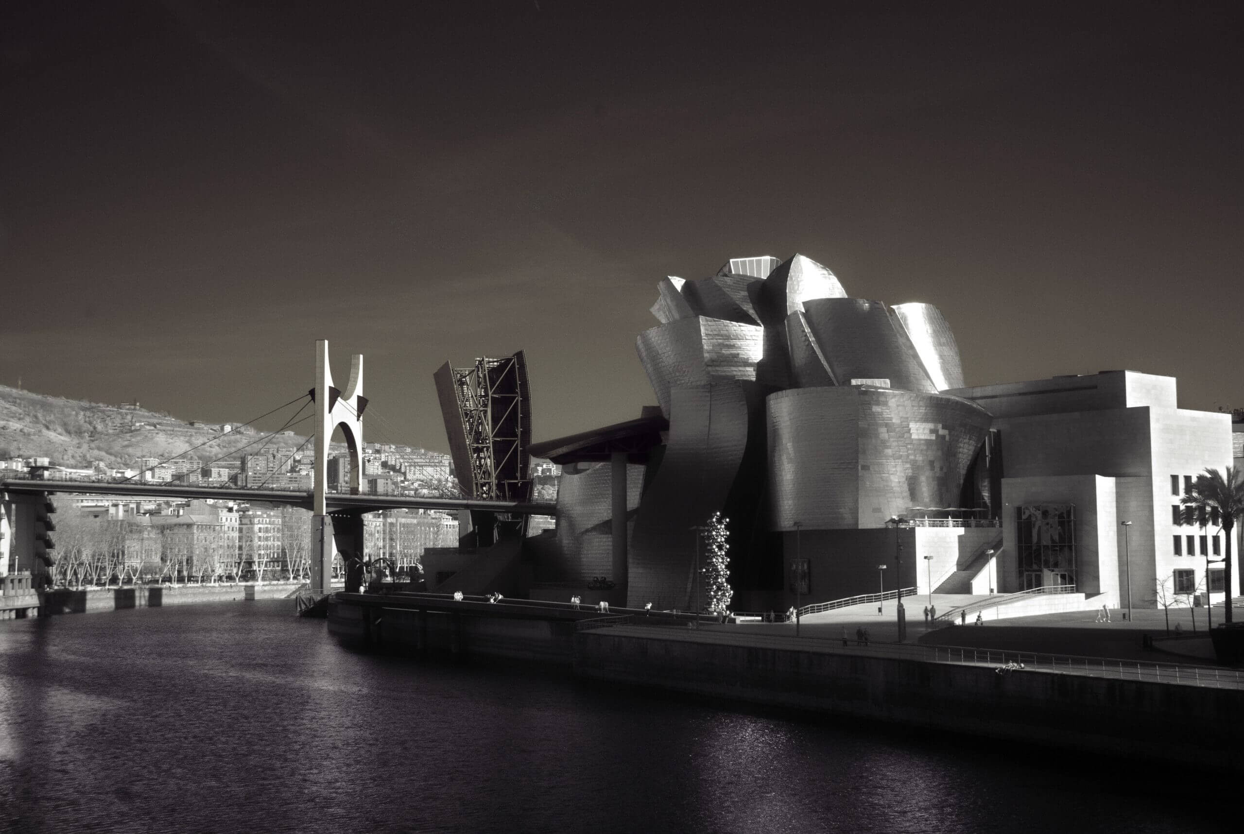 A view of the Guggenheim and Nervion river in Bilbao, pictured in May