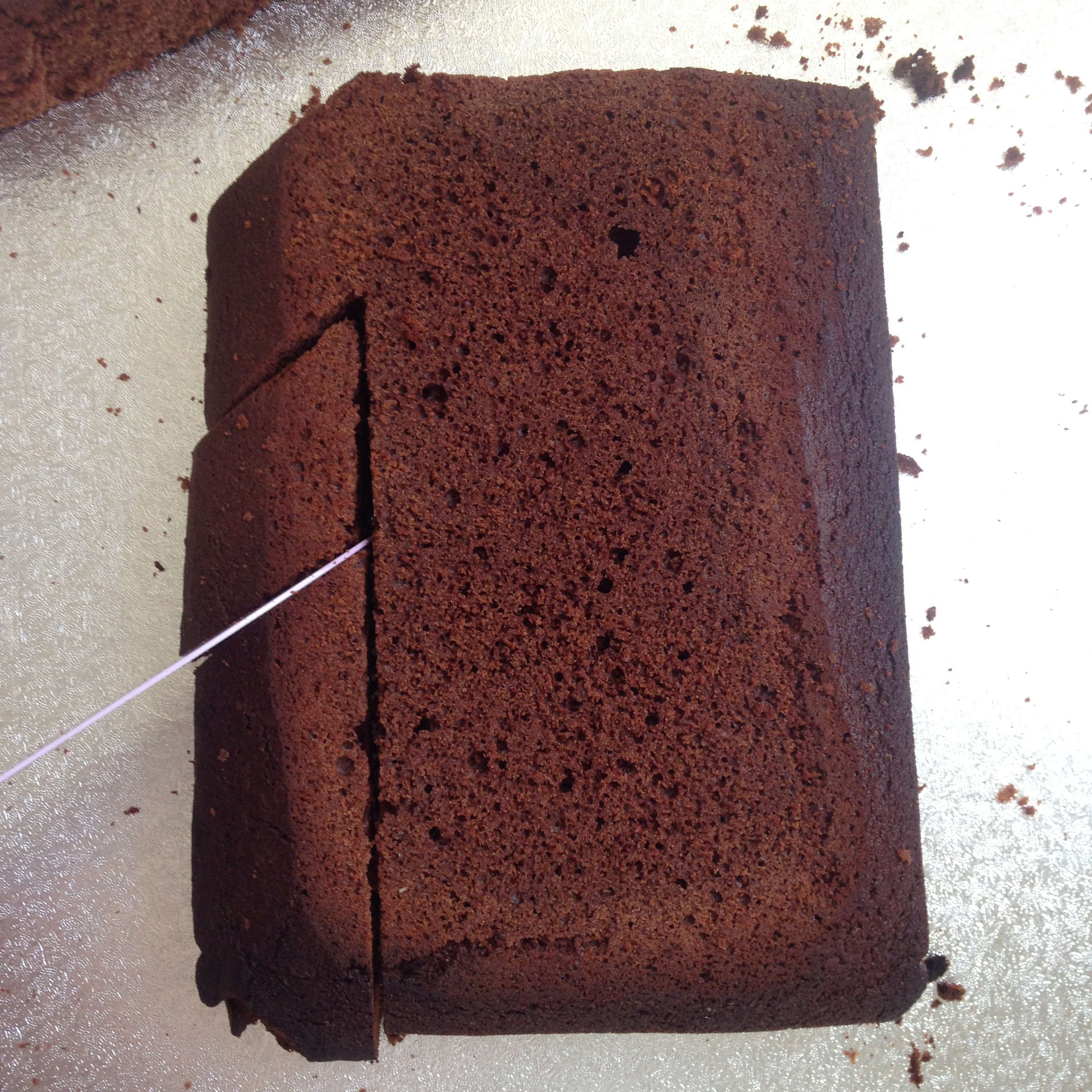 Rectangular Cake Pan Prepared for Baking