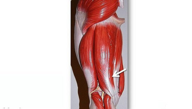 Hamstring Injury Causes