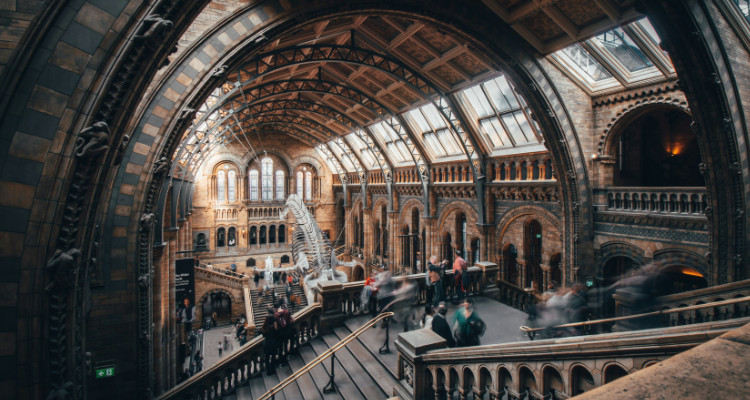 Natural History Museum Filming Location London | DesignMyNight