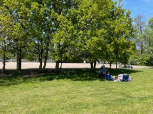 The Triangle Field on Tooting Bec Common remains a well-used communal space for informal recreation