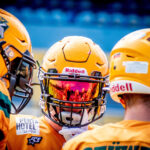 NFL Helmets