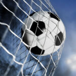 Soccer ball in the goal