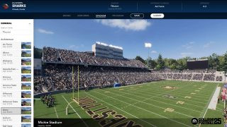 Customizing Your Home Field in Team Builder