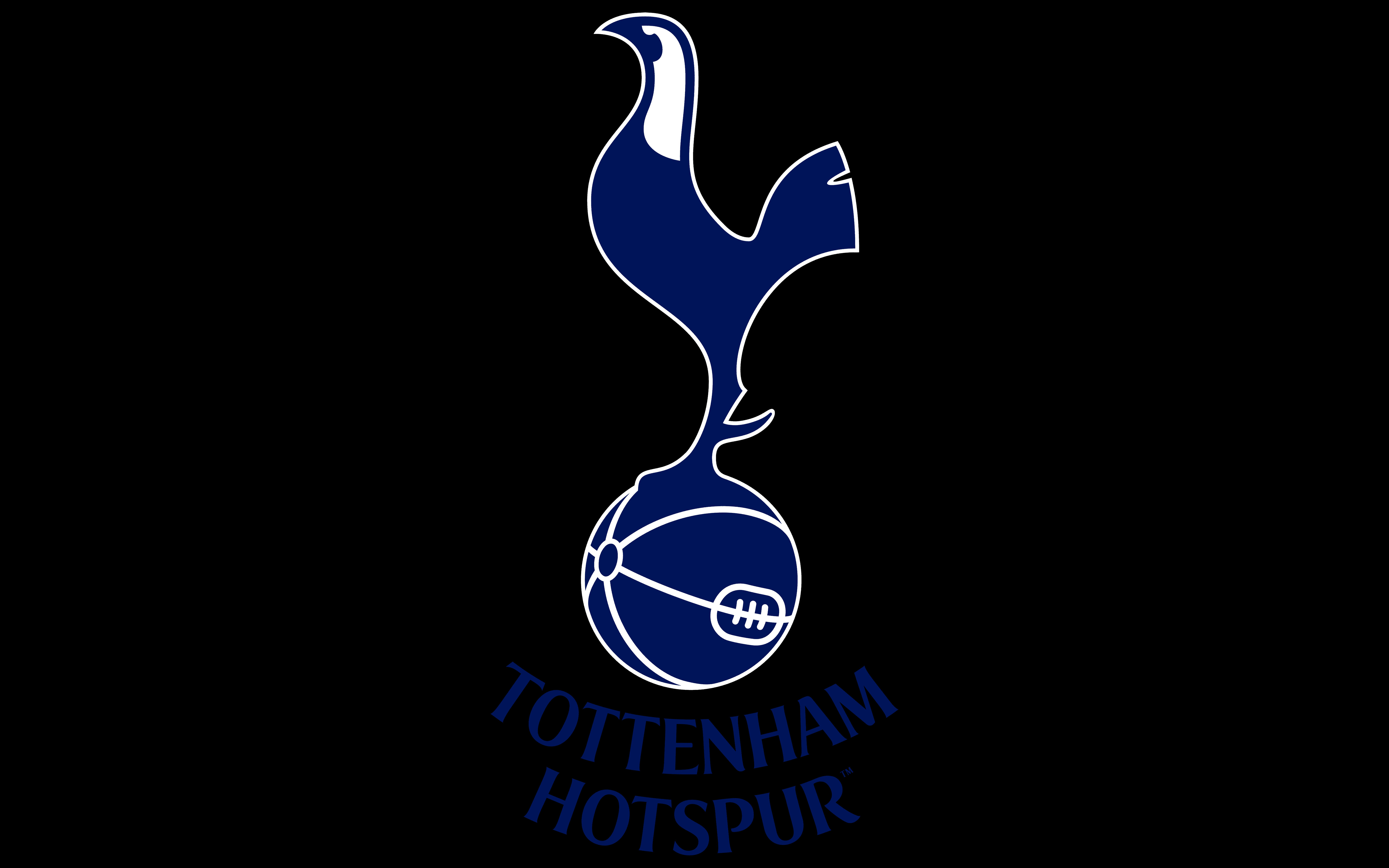 Tottenham Hotspur Logo 2013