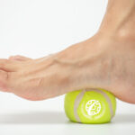 Fascia training