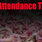 College Football Attendance