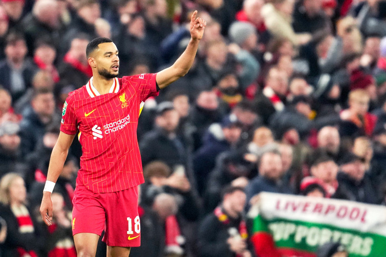 Cody Gakpo Celebrates Liverpool Goal Against Tottenham Hotspur
