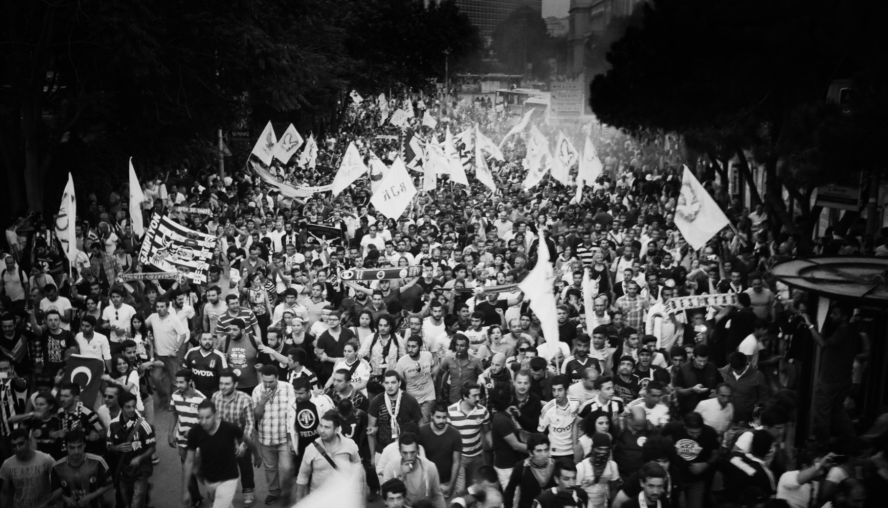 Besiktas Fans