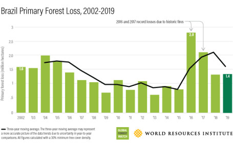 Brazil Forest Loss