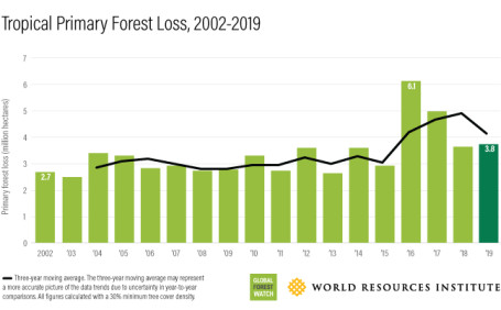 Global Forest Watch Data