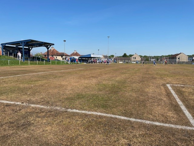 Dundonald Bluebell Fans