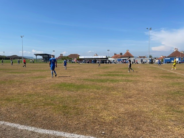 Dundonald Bluebell Goal