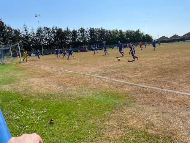Dundonald Bluebell Celebration