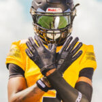 Football Gloves