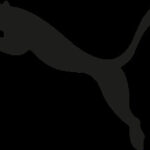 Puma Football Boots