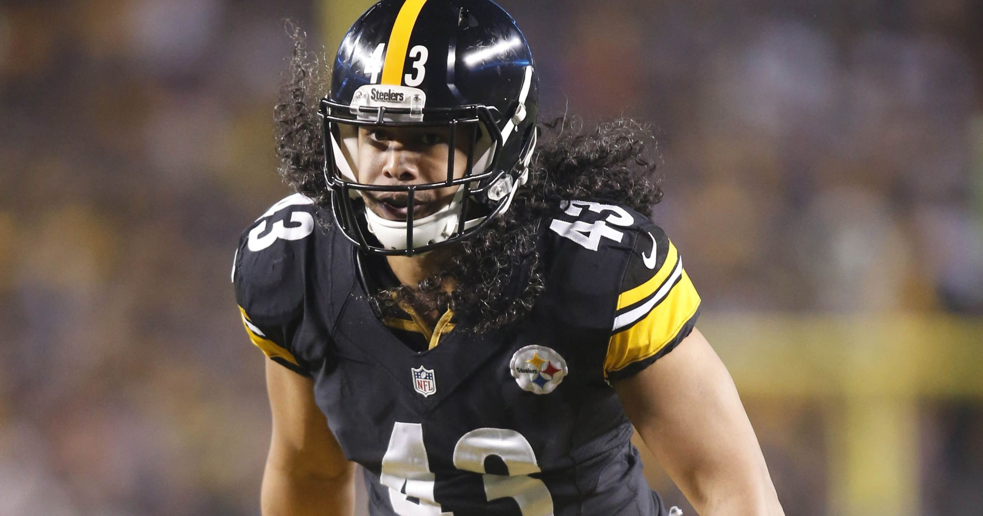 Troy Polamalu Safety Skills